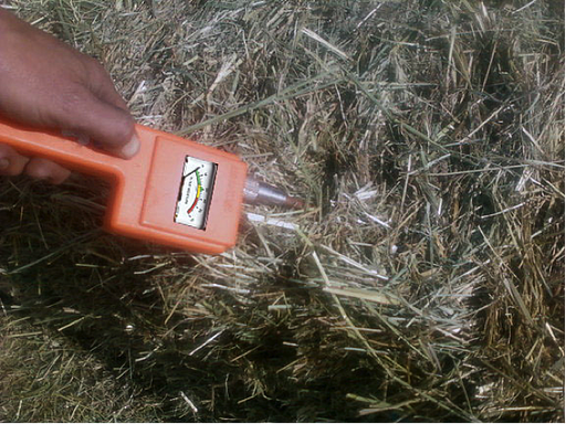 How to Test Hay Moisture Levels to Prepare for Safe Storage